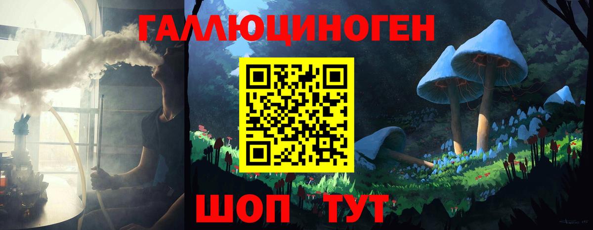 Галлюциногенные грибы Psilocybine cubensis Кольчугино